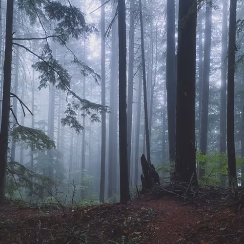 2005862319158051831365229387864138466486092287762213337058068728525120077825