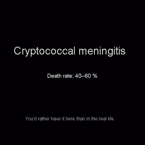 Item #81808085032476359797455255547863298923837726005960725874573045483746914993128 Media
