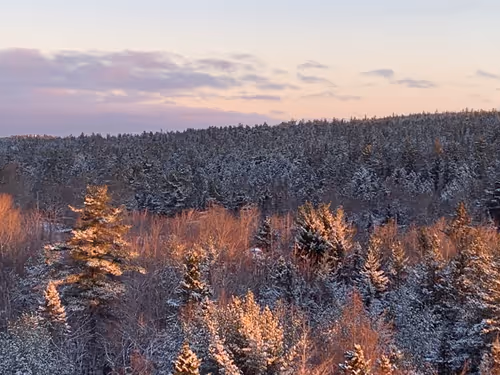 Item #79545156114315803547142534372427060131270838269167006736040653601935909191690 Media