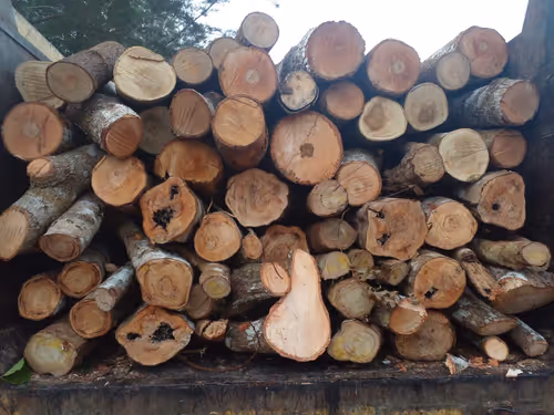 Item #102006201378976520734460731776155729887307616800660626474018585903487896256513 Media