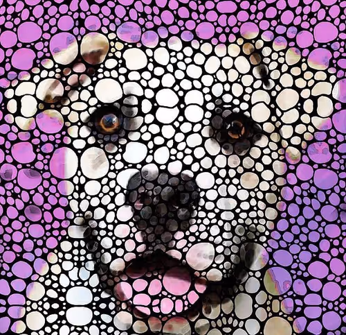 Item #115578361162942837648079664998055450902146915242874729199543626339211922112513 Media