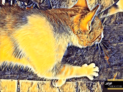 Item #70173555060280459679020221103172679865592931086946583501557978907389804412929 Media