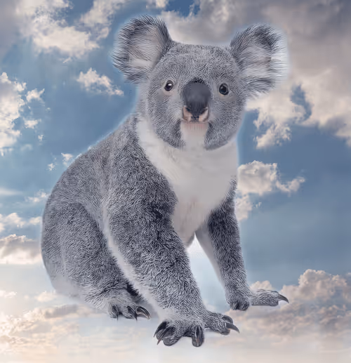 Item #75086745474347274452093740593438062832653814310012917017256883096827449049089 Media