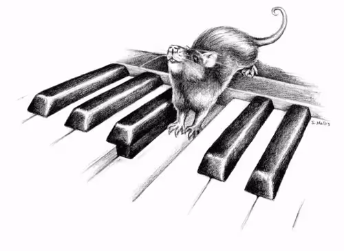 Item #24600310660482288606297797528155087939323639147399647196853483673226120790116 Media