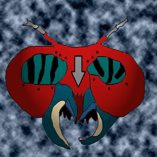 27664917238096825595069446436928888369737701364119415615784950306700322144257