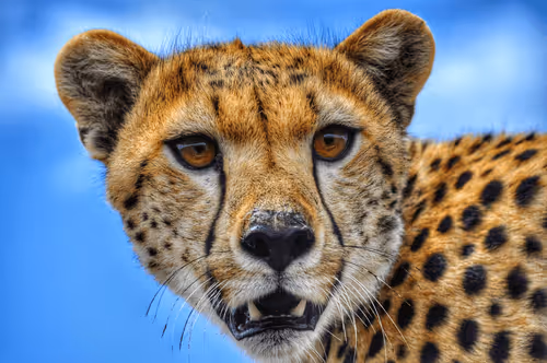 Untitled Collection #33607795