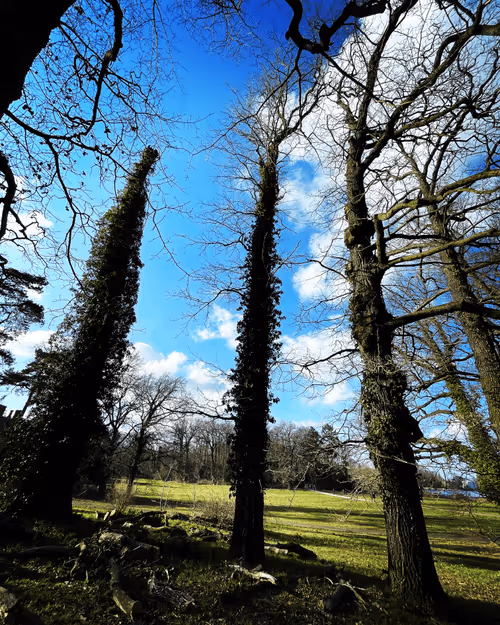 Item #35339417924445304267052449174579644074826086506751043788329225540034801696868 Media