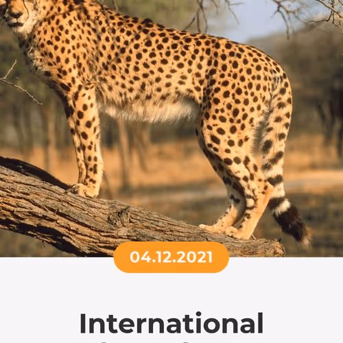 84967509520196306123188380026293221301468344843151761076076916824519628292097