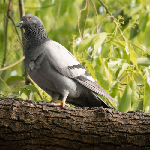 Untitled Collection #283533521