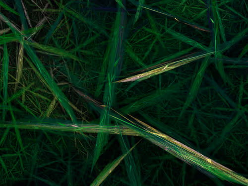 Item #78903285065098626362122179982371796950180940267575141076281674154661036163073 Media