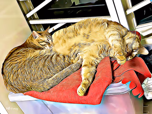 Item #38747037905347177925471706443205225448662377409082536750344913912412264988673 Media