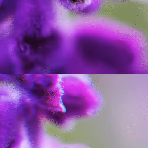 Untitled Collection #209349919