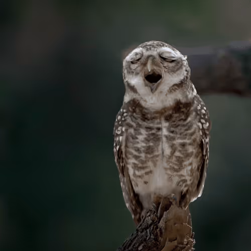 61684684013370051227163866082320023750896296023852719411798081120424870019097