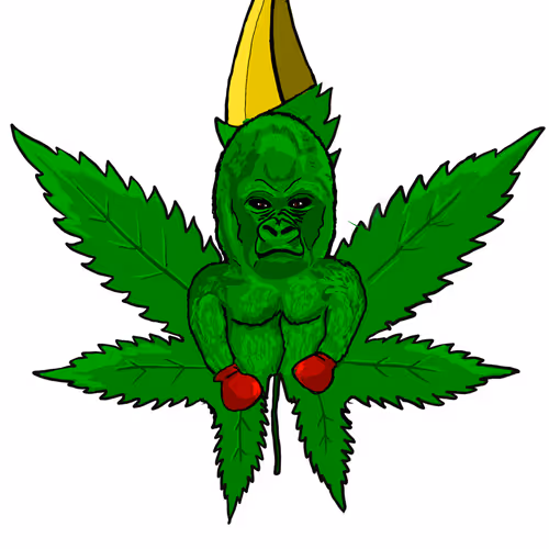 3629226787036885345407013839473637357726433756934680638690710232477640687617