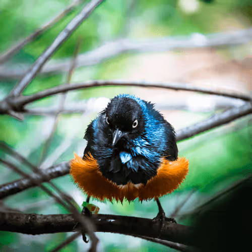 Item #108333172836631629328696584714053398631603269563571358519615745307518127046657 Media