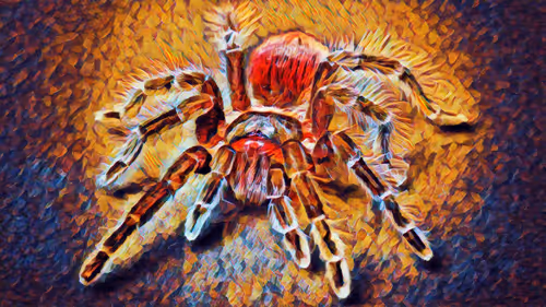 Item #74388721199083954673298778298232823886096642493620239959546432222468658692097 Media