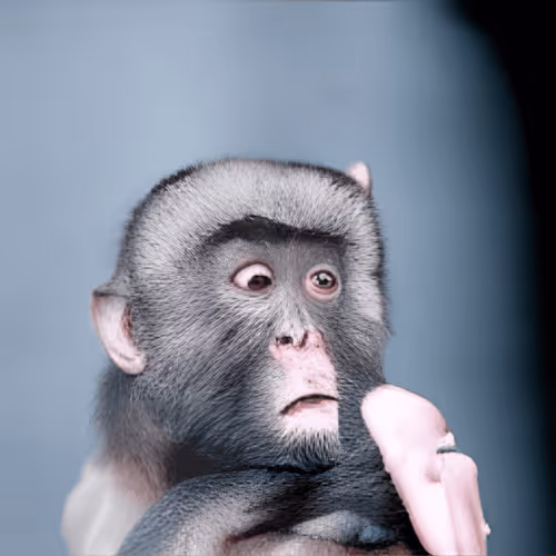 Item #98771142752491223589029056332849600761606894318122094950927075020354973859841 Media