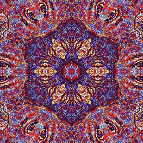 31097931735536228284032699637255406190173055095304977551590049575842676211713