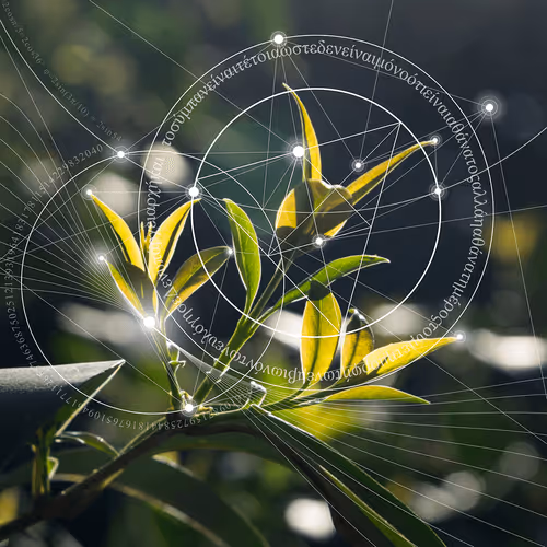 Item #32411125675487060619215429291378722085316015159672046256732381676250463207425 Media