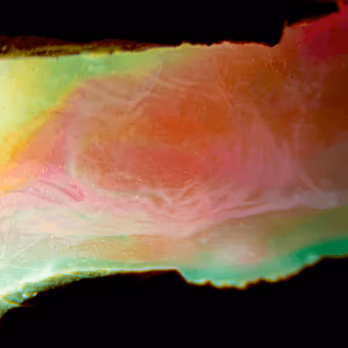 Item #8251270981130702250905355697814279819197198943221984468281114962382018314241 Media