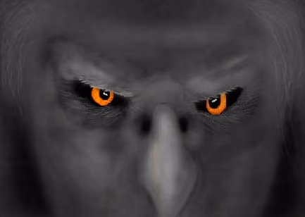 eagleman 