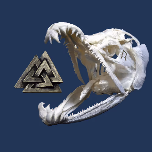 Item #23926592722501241653088435874563475503424690857757904009928287638209983152129 Media