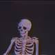 93874748194359598512446027087380783157028367463564443599832258216455741374465