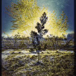 3787080761074609709675817509753112159059746763483256848434353499522291728385