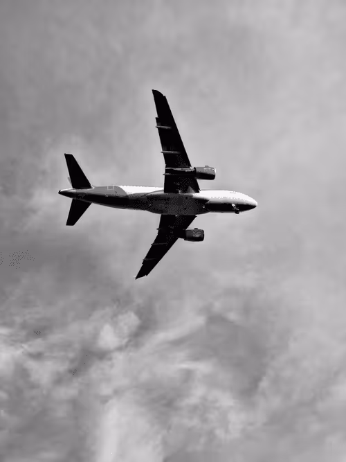 Item #36816001644917254617906175698674191035781868216999975889902342357454891778049 Media