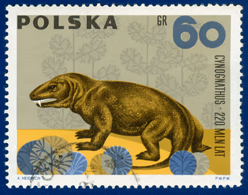 Item #43396075324703898266047812514621818701228729938743194280491743643284600258561 Media