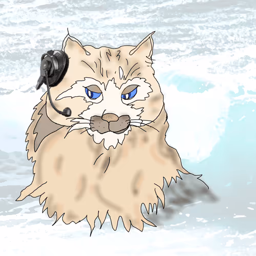 Item #48183946365021131363591529275046909935728920115178788356526925488335446081539 Media