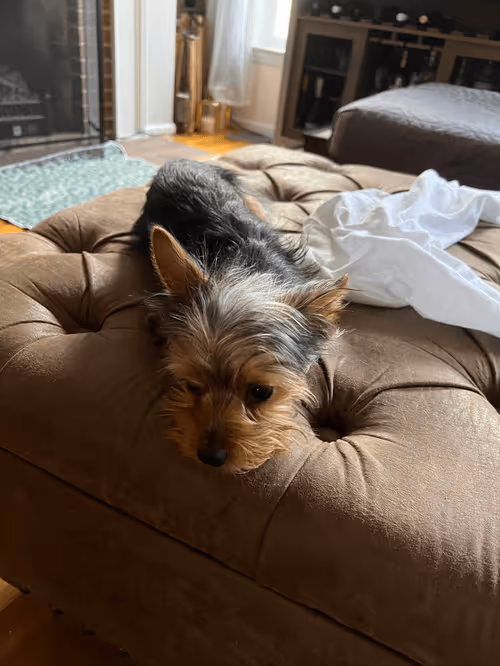 Item #88066140528539479869456014744410398514327997074780151392509103633342962597889 Media