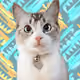 75457194886108443629750655022355317305433249571379046942976093986612504952842