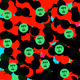 38327418715963987533873379704007057944627789057961675474562324604280893341697