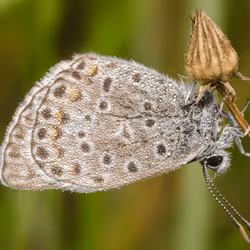 85482677209635580740523827451099252136629396536545148940270710374323688833034