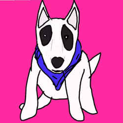 dog Bull#12