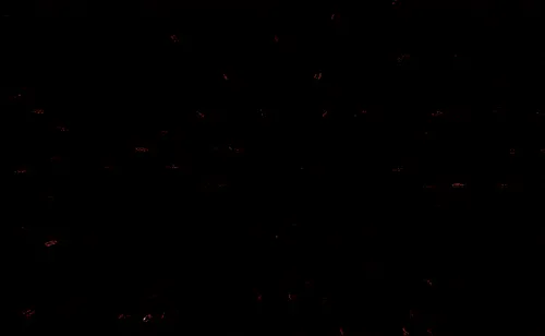 Item #65033471295990105292863051236151584237795401292805181333653600573901609369601 Media