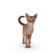 47241216022779731523463185926605629522834971625535229816052879524632387911681