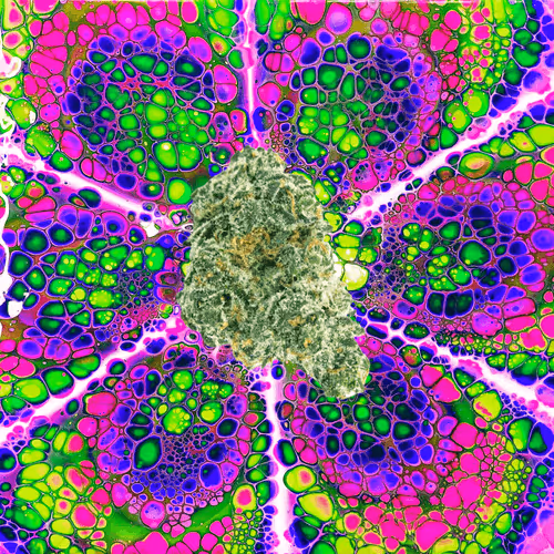 13955282856406335165414100891374623718709547313428947888299033912076346064906