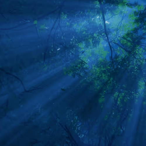 Item #99200865775611471926543018158573320693117634959498765006266316681346235236353 Media