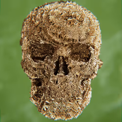 47176454807076825679431215681833454926344141321117842083750283229104053420033