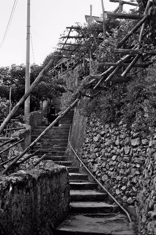 Item #86935901783067073352333628966122305323978878013206639598226716956585950707717 Media