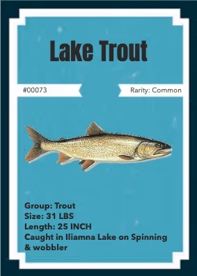 Item #43502264269384842523243150070095810631836830099831581701628991976850199674881 Media