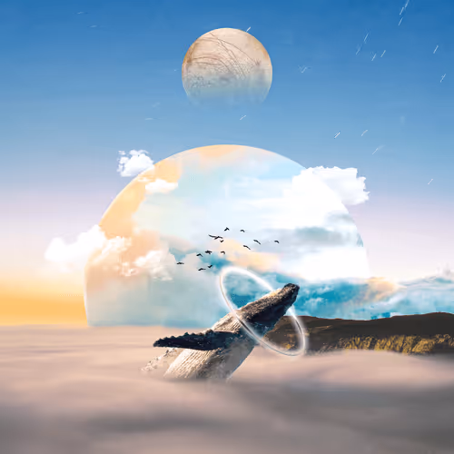 87494049900745305541993362716571235233172402234984348363377334915256354340874