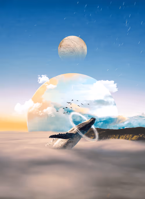 Item #87494049900745305541993362716571235233172402234984348363377334915256354340874 Media