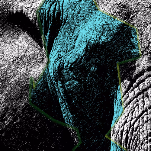 Item #60839276870702459536115980663435026977207856631347422568339333136122267041793 Media