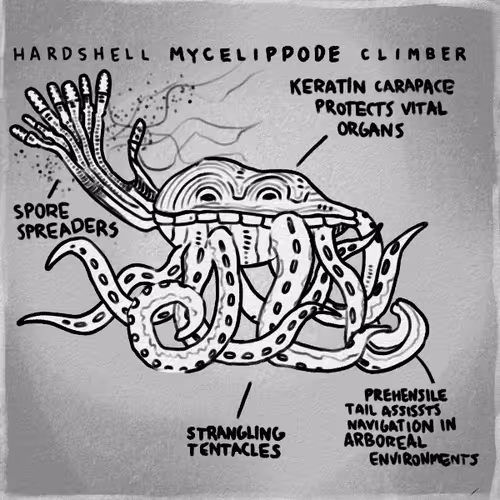 Item #75254285075785535287715778118992478348276111800851123813647562422524410068993 Media