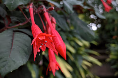 Item #39075669952795110311488058078452160275975432518977374571902800586029437812737 Media