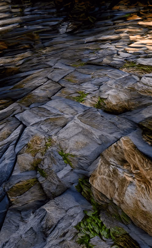 Item #41007786410929193222663219478656367728016379679171004134184391937180137684993 Media