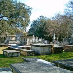 Churchyard 